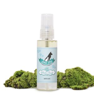 profumo bifasico luce pet fragranza white fruit small